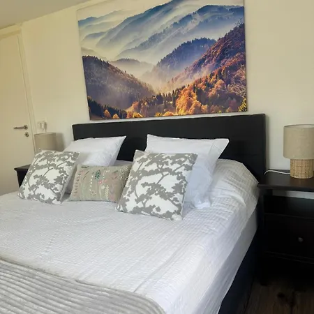 Chez Leny Apartment Monthey